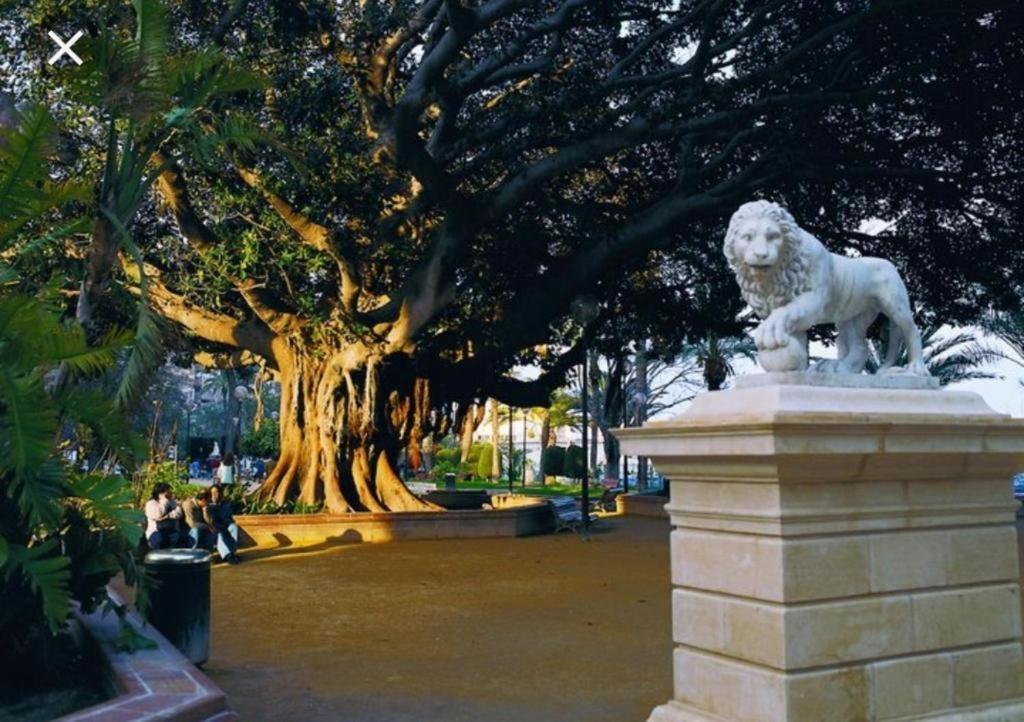 The Terrace Canalejas Alicante Extérieur photo